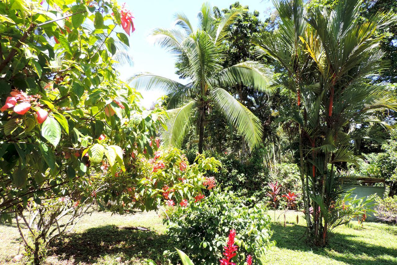Rosa Lodge Cahuita Bagian luar foto