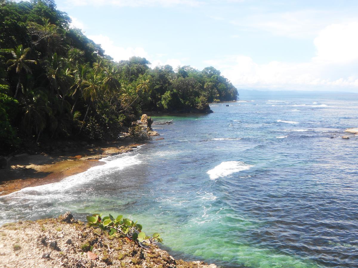 Rosa Lodge Cahuita Bagian luar foto
