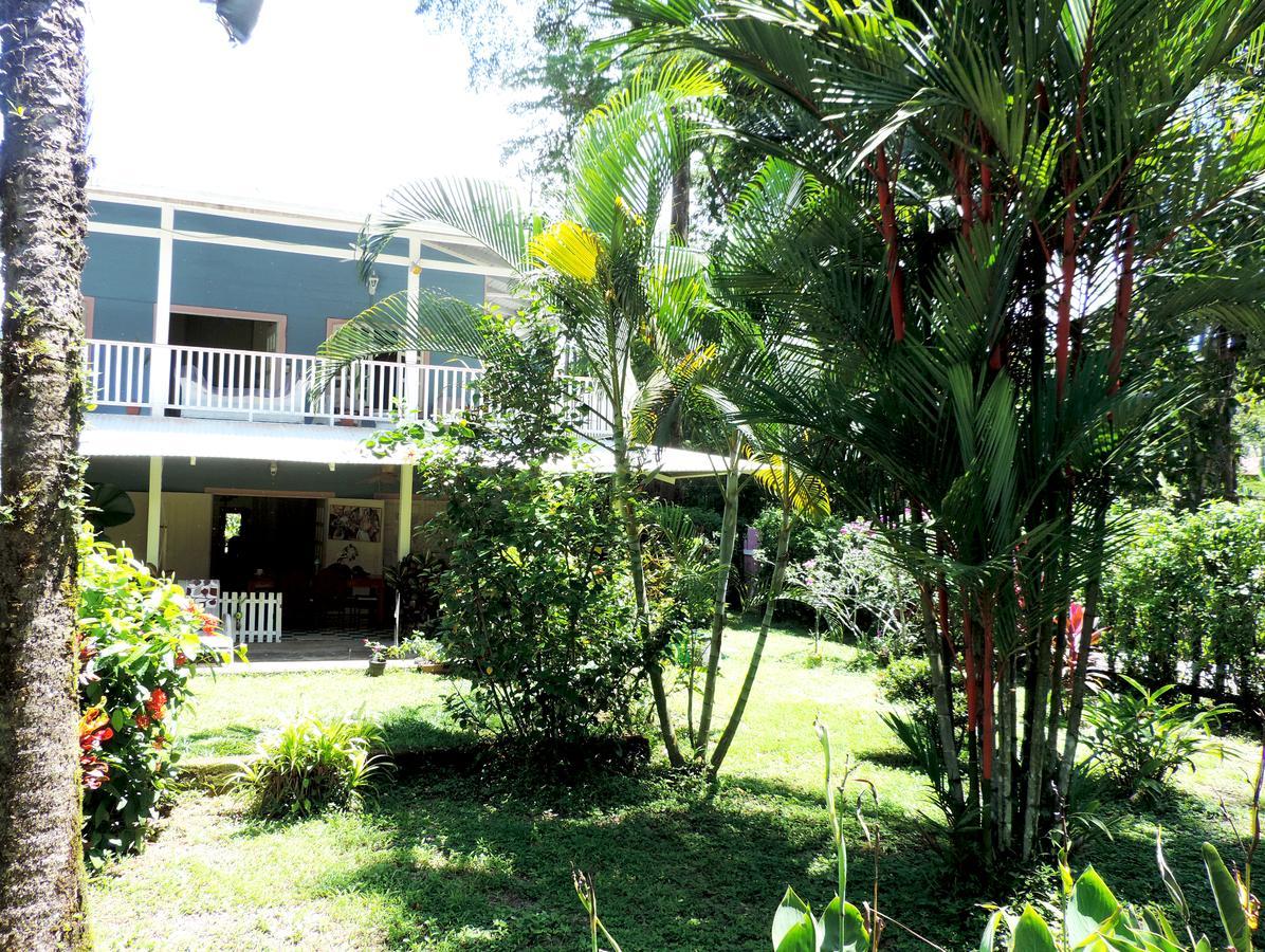 Rosa Lodge Cahuita Bagian luar foto