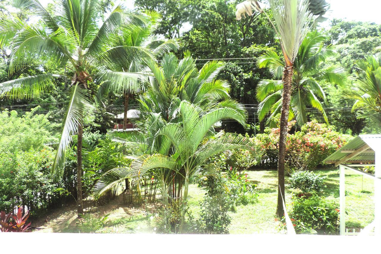 Rosa Lodge Cahuita Bagian luar foto