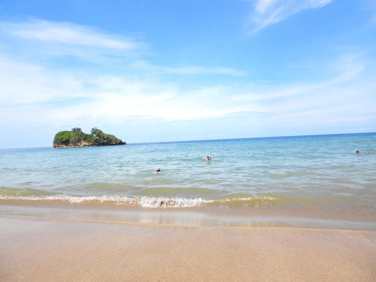 Rosa Lodge Cahuita Bagian luar foto