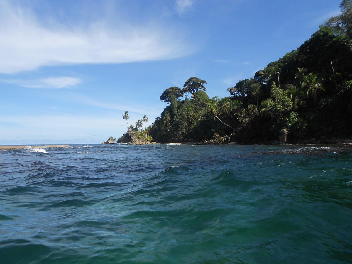 Rosa Lodge Cahuita Bagian luar foto